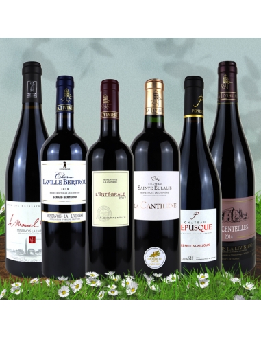 Carton Découverte "Cru La Livinière" Rouge