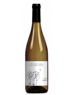 Château Guery "Intelligence - Viognier" IGP Oc Blanc 2025