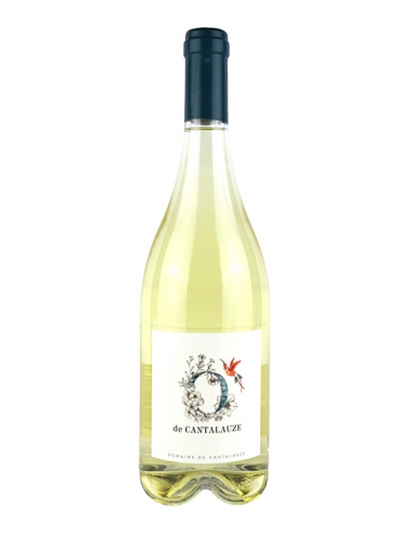 Domaine de Cantalauze "O de Cantalauze" IGP Oc Blanc