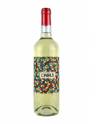 Cave Le Muscat "L'Intrus" Vin De France Blanc