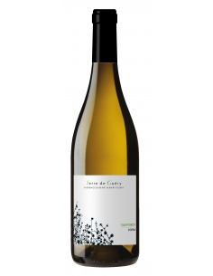 Château Guery "Sophia - Sauvignon" IGP Oc Blanc 2025