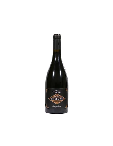 Domaine Les Jalans "La Belle d'Henri" AOP Minervois Rouge