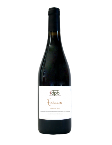 Domaine de Pierre Blanche "Entre Amis" IGP Oc Rouge