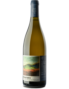 Benjamin Taillandier "Tharseo" Vin de France 2020 Blanc