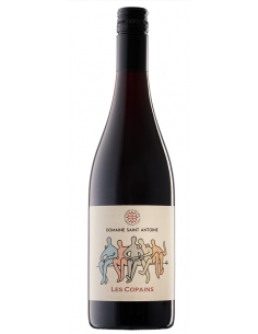 Domaine Saint Antoine "Les Copains" AOP Minervois Rouge